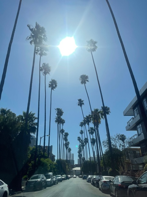 a.yo.ma OnlyFans - Free Access to 32 Videos & 49 Photos Onlyfans Free Access