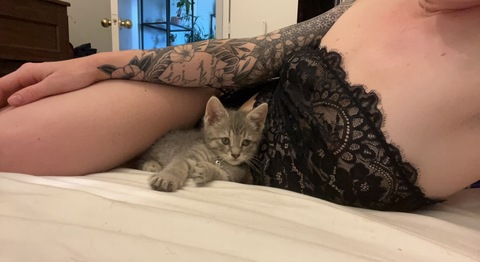 abigayle.z OnlyFans - Free Access to 32 Videos & 49 Photos Onlyfans Free Access