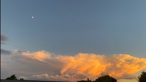 acilegna.sr OnlyFans - Free Access to 32 Videos & 49 Photos Onlyfans Free Access