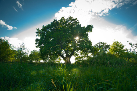 active.mum OnlyFans - Free Access to 32 Videos & 96 Photos Onlyfans Free Access