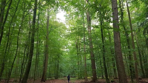 adrianna.k OnlyFans - Free Access to 32 Videos & 49 Photos Onlyfans Free Access