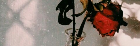 afr0ditas OnlyFans - Free Access to 32 Videos & 49 Photos Onlyfans Free Access