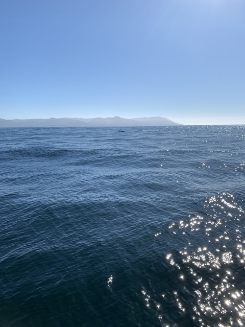 alayna OnlyFans - Free Access to 32 Videos & 49 Photos Onlyfans Free Access