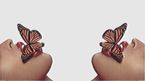 alexandriamfc OnlyFans - Free Access to 110 Videos & 1595 Photos Onlyfans Free Access