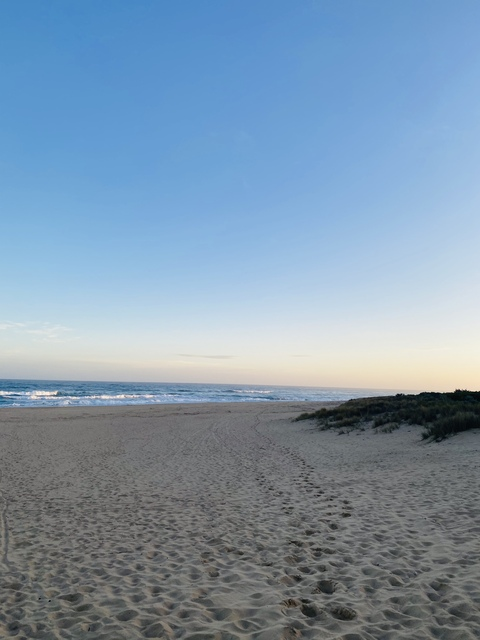 alexsmith20011 OnlyFans - Free Access to 32 Videos & 49 Photos Onlyfans Free Access