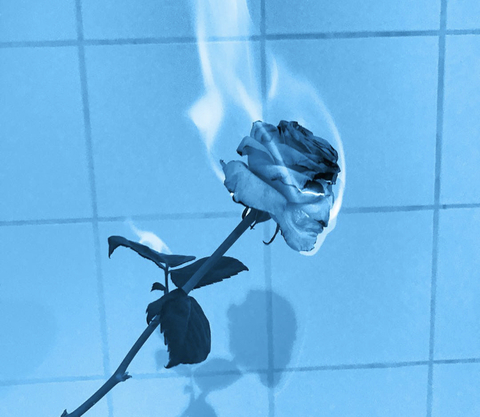 alicat33 OnlyFans - Free Access to 32 Videos & 49 Photos Onlyfans Free Access