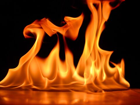 alletlynn OnlyFans - Free Access to 32 Videos & 49 Photos Onlyfans Free Access