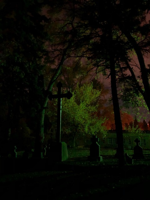 alotttaafaginaa OnlyFans - Free Access to 32 Videos & 49 Photos Onlyfans Free Access