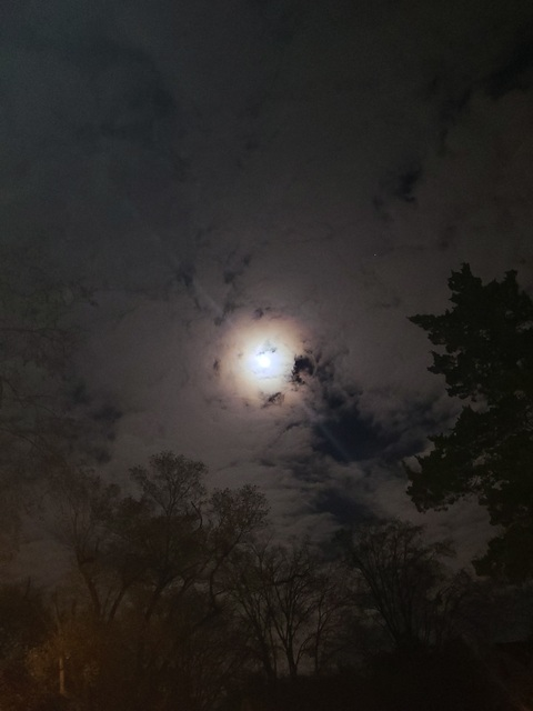 aluvher OnlyFans - Free Access to 32 Videos & 70 Photos Onlyfans Free Access