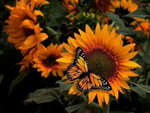 alyssa.0623 OnlyFans - Free Access to 32 Videos & 49 Photos Onlyfans Free Access