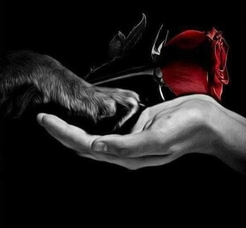 amandalove1993 OnlyFans - Free Access to 32 Videos & 108 Photos Onlyfans Free Access