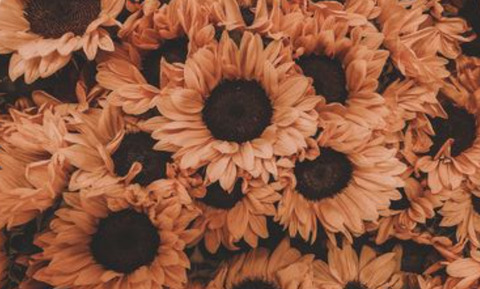 ambari OnlyFans - Free Access to 32 Videos & 59 Photos Onlyfans Free Access