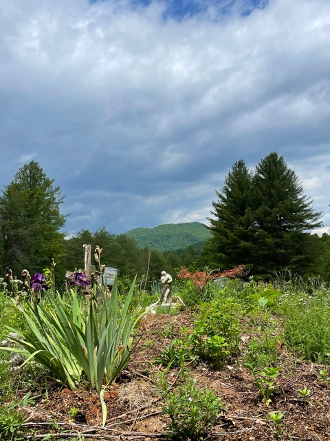 amberhoneyflame OnlyFans - Free Access to 143 Videos & 723 Photos Onlyfans Free Access