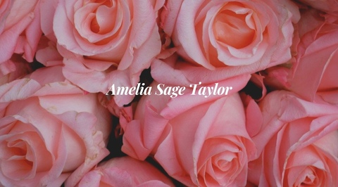 ameliasage OnlyFans - Free Access to 32 Videos & 49 Photos Onlyfans Free Access