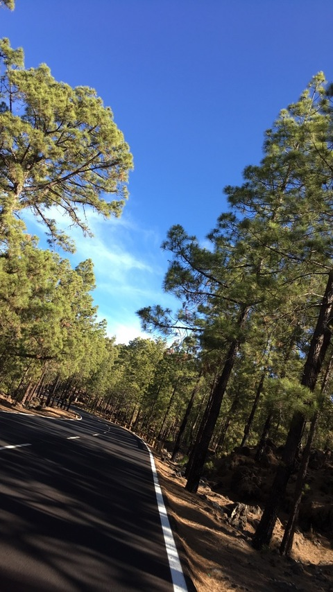 amelie7 OnlyFans - Free Access to 32 Videos & 49 Photos Onlyfans Free Access