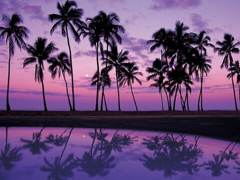 andrearamos OnlyFans - Free Access to 32 Videos & 49 Photos Onlyfans Free Access