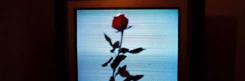 ang4lf4cetease OnlyFans - Free Access to 32 Videos & 77 Photos Onlyfans Free Access