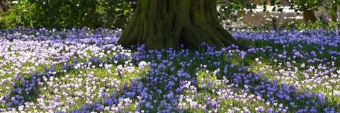 angelh0rns OnlyFans - Free Access to 32 Videos & 49 Photos Onlyfans Free Access