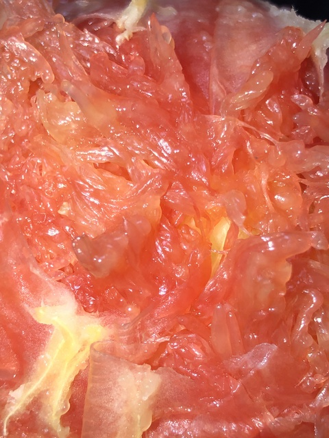 angelicash OnlyFans - Free Access to 32 Videos & 73 Photos Onlyfans Free Access