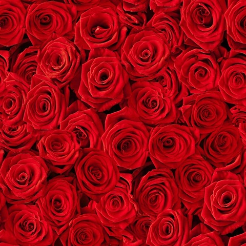 angryjam OnlyFans - Free Access to 32 Videos & 65 Photos Onlyfans Free Access