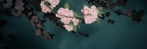 anniebricio94 OnlyFans - Free Access to 32 Videos & 49 Photos Onlyfans Free Access