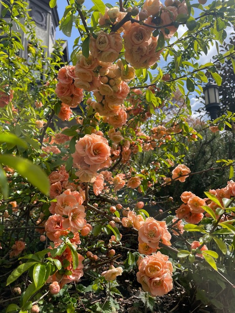 annikafordx OnlyFans - Free Access to 32 Videos & 49 Photos Onlyfans Free Access