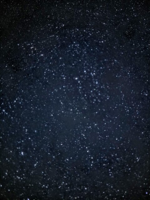 arcticfox23 OnlyFans - Free Access to 32 Videos & 49 Photos Onlyfans Free Access