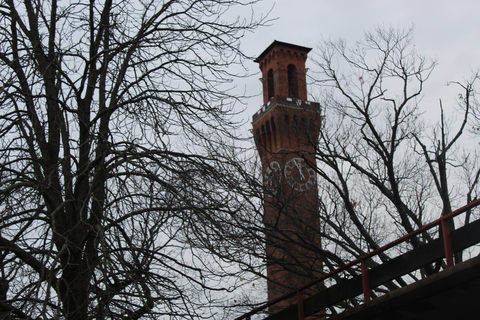 arey1231 OnlyFans - Free Access to 32 Videos & 49 Photos Onlyfans Free Access