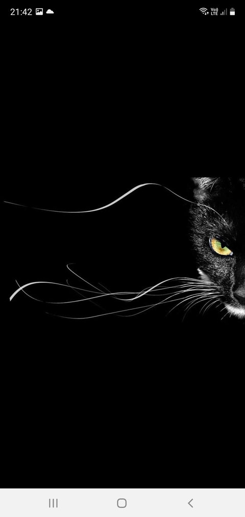 arielle01 OnlyFans - Free Access to 32 Videos & 52 Photos Onlyfans Free Access