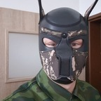 armydog993 avatar