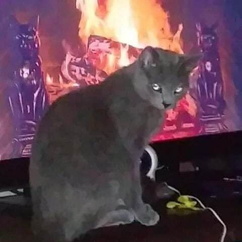 artspikia OnlyFans - Free Access to 196 Videos & 222 Photos Onlyfans Free Access