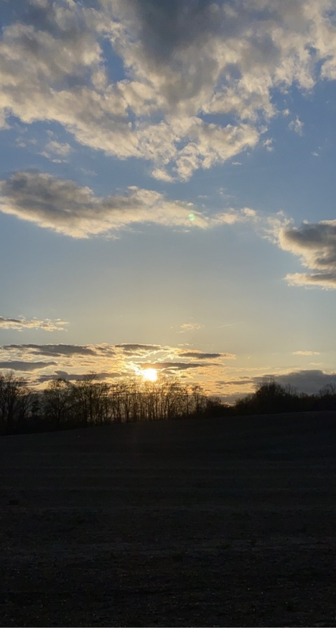 ashlandraexo OnlyFans - Free Access to 32 Videos & 125 Photos Onlyfans Free Access