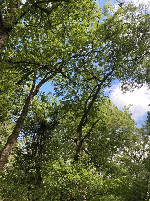 ashleigholsen OnlyFans - Free Access to 98 Videos & 879 Photos Onlyfans Free Access