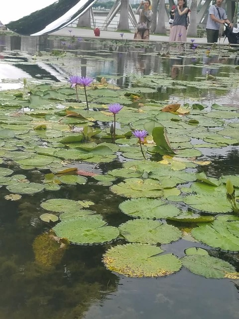 ashpterodactyl OnlyFans - Free Access to 32 Videos & 49 Photos Onlyfans Free Access