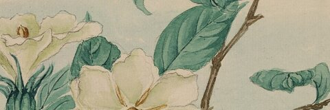 asiaanastasia OnlyFans - Free Access to 32 Videos & 49 Photos Onlyfans Free Access