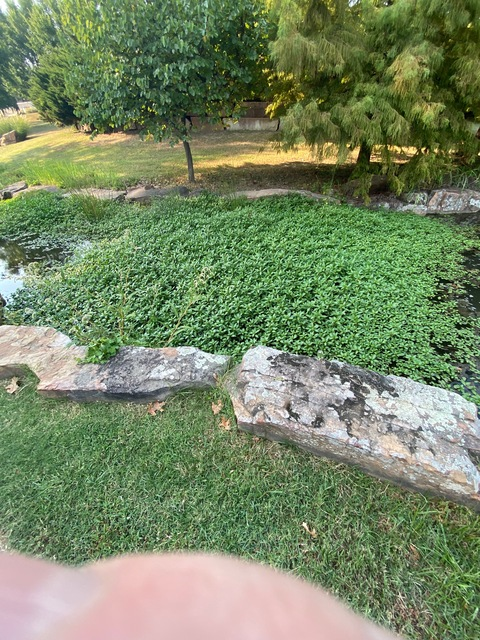 asslover67883245 OnlyFans - Free Access to 32 Videos & 49 Photos Onlyfans Free Access