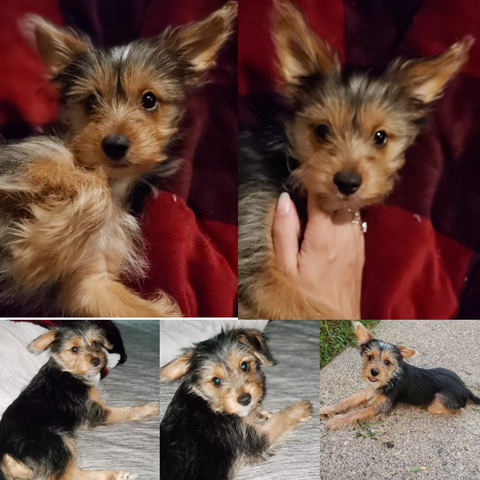 ath3na OnlyFans - Free Access to 32 Videos & 50 Photos Onlyfans Free Access