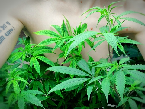 atomicbabe710 OnlyFans - Free Access to 55 Videos & 68 Photos Onlyfans Free Access