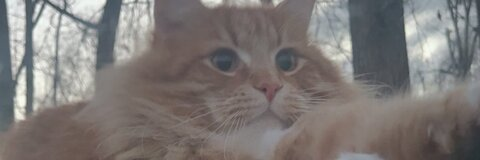 aubreyjo316 OnlyFans - Free Access to 32 Videos & 49 Photos Onlyfans Free Access