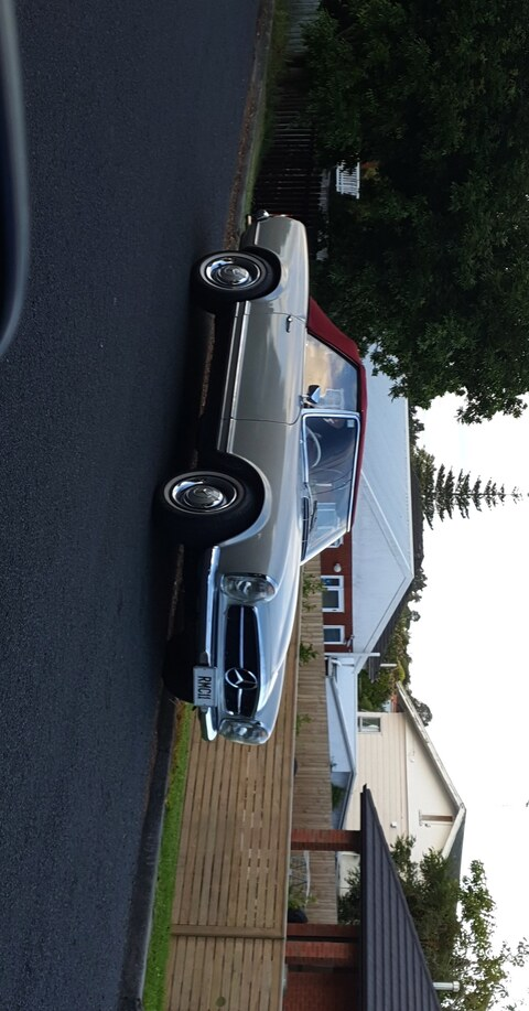 aucklander OnlyFans - Free Access to 32 Videos & 49 Photos Onlyfans Free Access