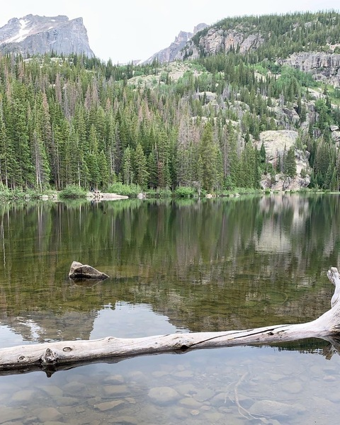 austincollins OnlyFans - Free Access to 32 Videos & 52 Photos Onlyfans Free Access