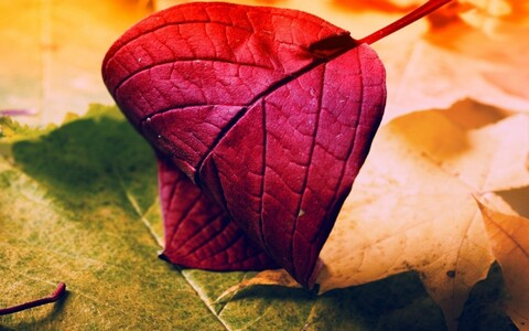 autumnjade301 OnlyFans - Free Access to 96 Videos & 54 Photos Onlyfans Free Access