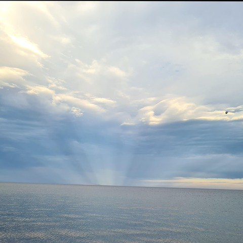 azul.c OnlyFans - Free Access to 32 Videos & 49 Photos Onlyfans Free Access