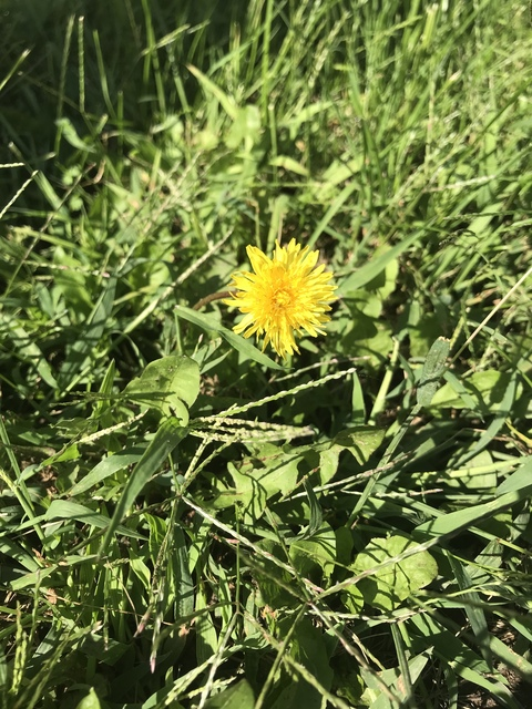 babybbird OnlyFans - Free Access to 32 Videos & 49 Photos Onlyfans Free Access