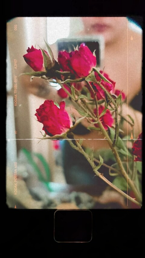 babycuchillo OnlyFans - Free Access to 32 Videos & 49 Photos Onlyfans Free Access