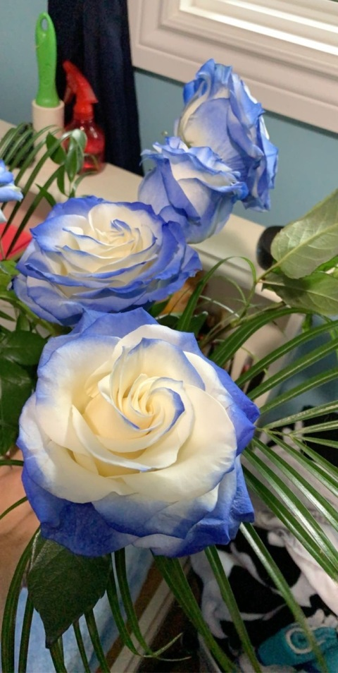 babygirl3825 OnlyFans - Free Access to 32 Videos & 49 Photos Onlyfans Free Access