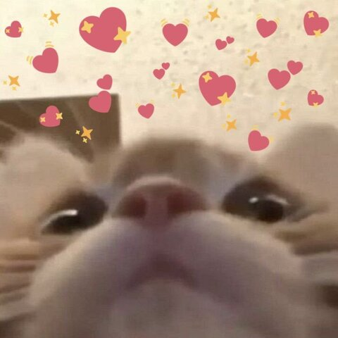 babygirlel OnlyFans - Free Access to 32 Videos & 139 Photos Onlyfans Free Access