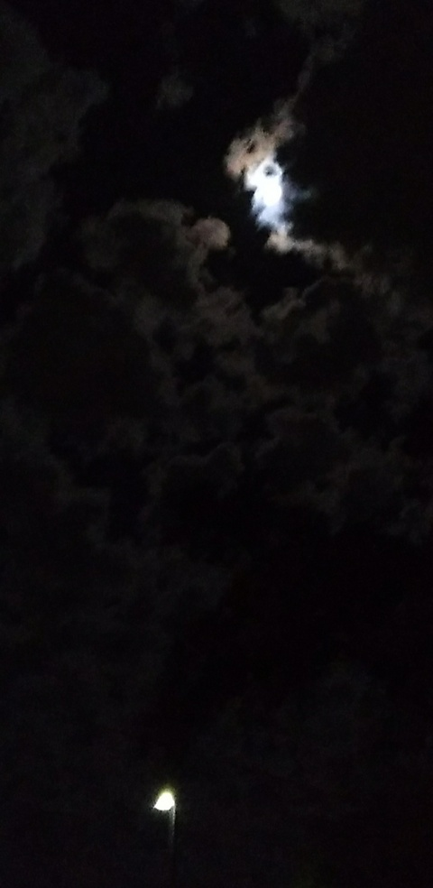 babygurlxoxo OnlyFans - Free Access to 32 Videos & 49 Photos Onlyfans Free Access