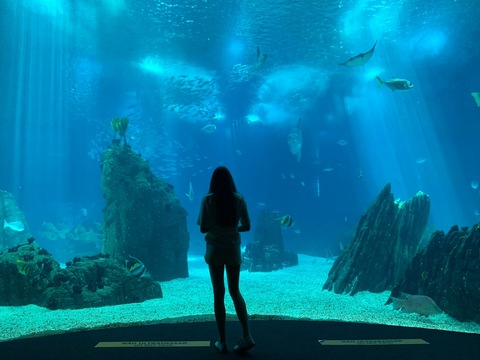 babylightt OnlyFans - Free Access to 32 Videos & 49 Photos Onlyfans Free Access