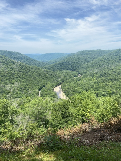 badassblonde16 OnlyFans - Free Access to 32 Videos & 340 Photos Onlyfans Free Access